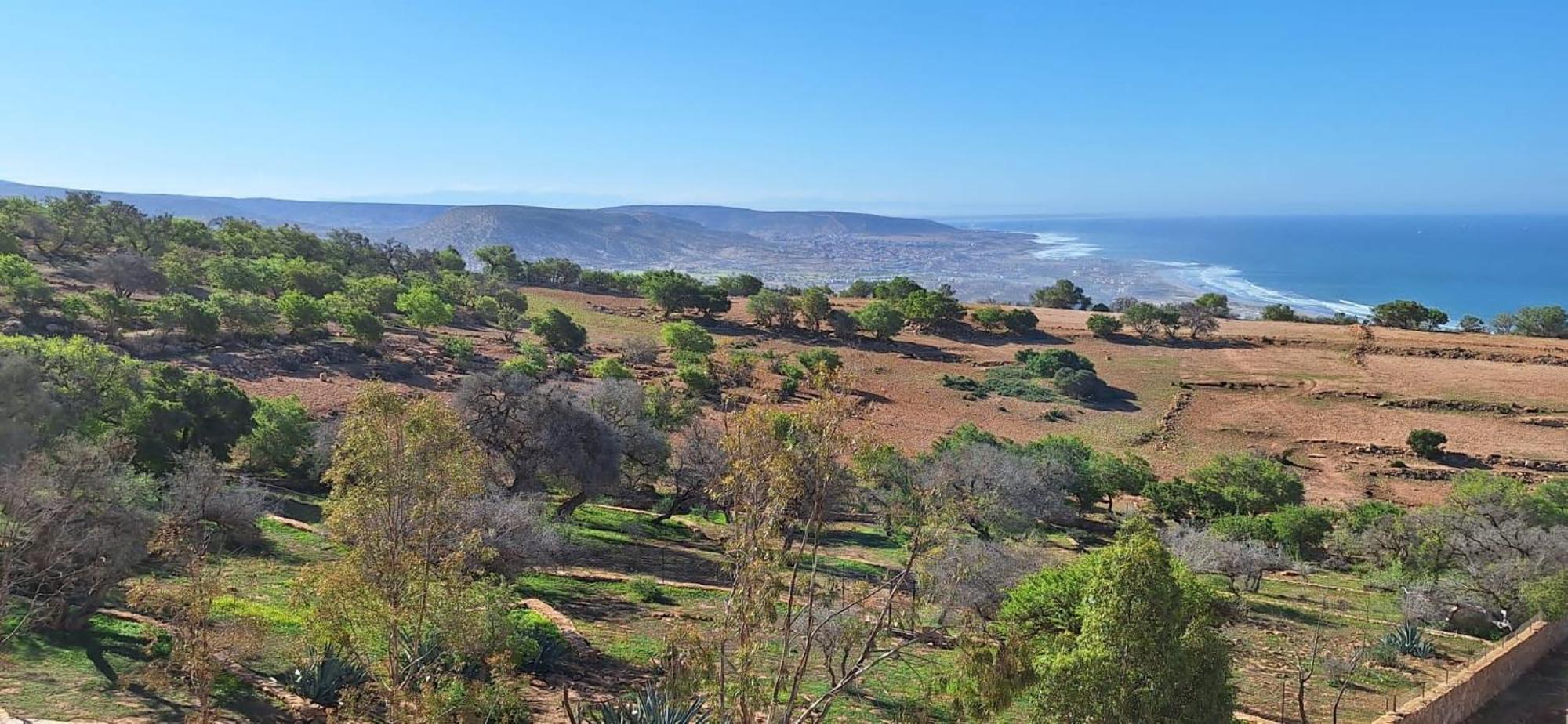 Duplex Taghazout Ocean With Pool & Fitness Διαμέρισμα Εξωτερικό φωτογραφία